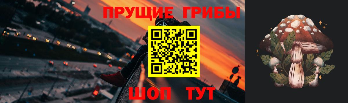 сколько стоит  Псилоцибиновые грибы прущие грибы  Вход с VPN  Белогорск  Галлюциногенные грибы мухоморы 